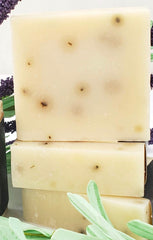 Eucalyptus Aloe Handcrafted Vegan Soap